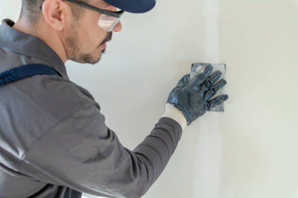 Reliable Reynoldsburg, OH Mold Removal Solutions