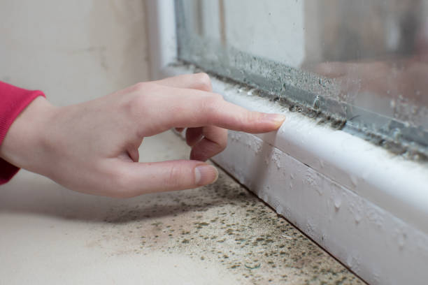 Best Mold Prevention Services  in Reynoldsburg, OH